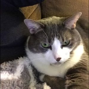 Meet your Posher, Kelli